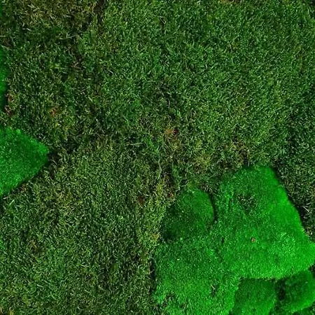 Διαμέρισμα Hoeftsee-blick Plön