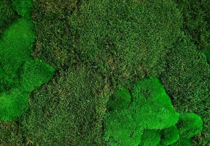 Apartment Hoeftsee-blick Ploen